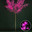 Светодиодное дерево "Сакура" 3,5 м - фото 3