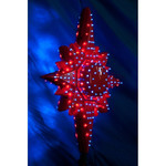 Светодиодное украшение на елку "Полярная звезда" 55 см