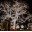 Уличная светодиодная гирлянда для деревьев "Спайдер" 5х20 м - фото 7